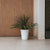 Vaso tondo de colore GERBERA 33