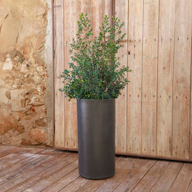 VASO CILINDRICA HORTENSIA 40 HIGH
