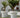 Vaso cilindrico colore MAGNOLIA 120CM