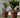 Vaso cilindrico colore MAGNOLIA 120CM