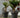 Vaso cilindrico colore MAGNOLIA 120CM