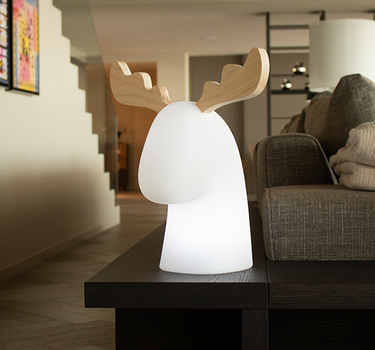 Renna illuminata Rudy