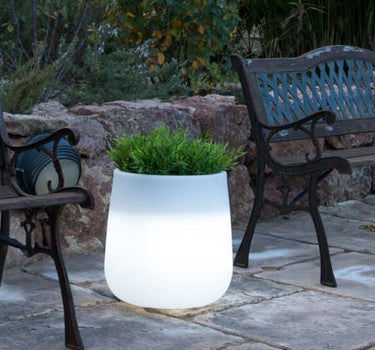 Vaso cilindrico con luce CAMELIA 40