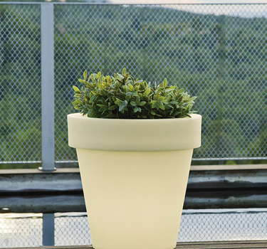 Vaso tondo con luce MAGNOLIA 45